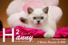 Hanny ist 11 Wochen alt ( 15.11.2020 )