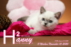 Hanny ist 11 Wochen alt ( 15.11.2020 )