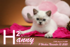 Hanny ist 11 Wochen alt ( 15.11.2020 )