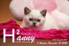 Hanny ist 11 Wochen alt ( 15.11.2020 )