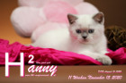 Hanny ist 11 Wochen alt ( 15.11.2020 )