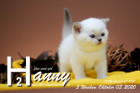 Hanny ist 5 Wochen alt ( 03.10.2020 )