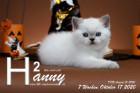 Hanny ist 7 Wochen alt ( 17.10.2020 )