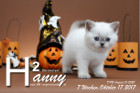 Hanny ist 7 Wochen alt ( 17.10.2020 )