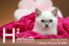 Henriette ist 11 Wochen alt ( 15.11.2020 )