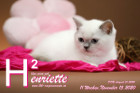 Henriette ist 11 Wochen alt ( 15.11.2020 )