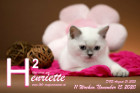 Henriette ist 11 Wochen alt ( 15.11.2020 )