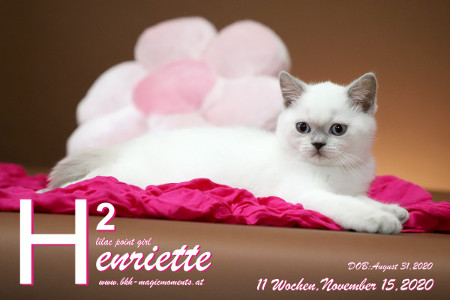 Henriette ist 11 Wochen alt ( 15.11.2020 )