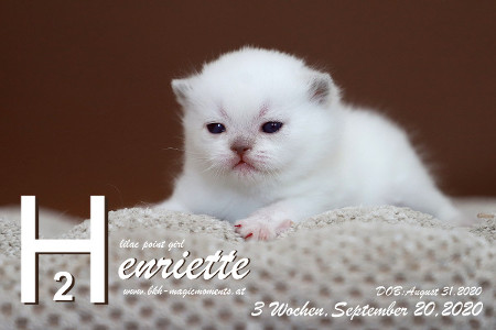 Henriette ist 3 Wochen alt ( 20.09.2020 )