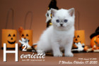 Henriette ist 7 Wochen alt ( 17.10.2020 )