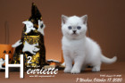 Henriette ist 7 Wochen alt ( 17.10.2020 )