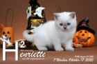 Henriette ist 7 Wochen alt ( 17.10.2020 )