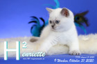 Henriette ist 9 Wochen alt ( 31.10.2020 )