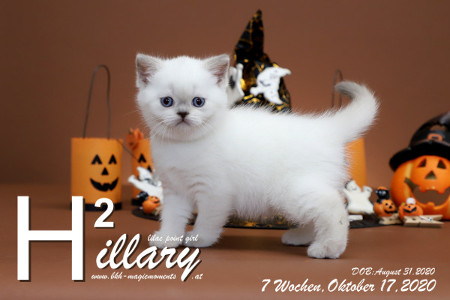 Hillary ist 7 Wochen alt ( 17.10.2020 )