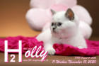 Holly ist 11 Wochen alt ( 15.11.2020 )