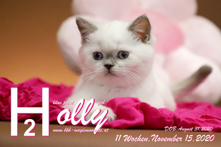 Holly ist 11 Wochen alt ( 15.11.2020 )