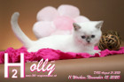 Holly ist 11 Wochen alt ( 15.11.2020 )