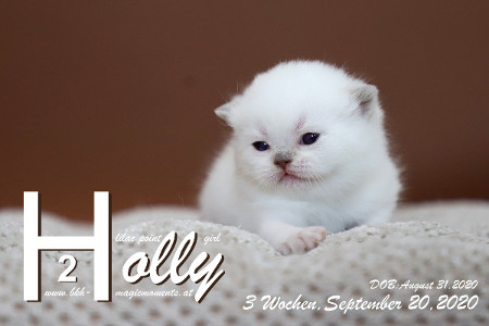 Holly ist 3 Wochen alt ( 20.09.2020 )