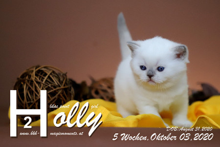 Holly ist 5 Wochen alt ( 03.10.2020 )