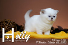 Holly ist 5 Wochen alt ( 03.10.2020 )