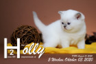 Holly ist 5 Wochen alt ( 03.10.2020 )