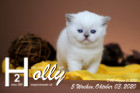 Holly ist 5 Wochen alt ( 03.10.2020 )