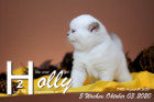 Holly ist 5 Wochen alt ( 03.10.2020 )