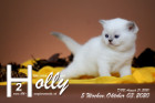 Holly ist 5 Wochen alt ( 03.10.2020 )