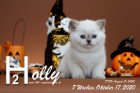 Holly ist 7 Wochen alt ( 17.10.2020 )