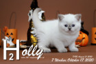 Holly ist 7 Wochen alt ( 17.10.2020 )