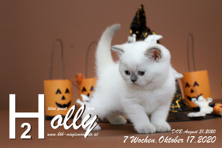 Holly ist 7 Wochen alt ( 17.10.2020 )