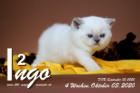 Ingo ist 2 Wochen alt ( 20.09.2020 )