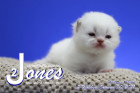Jones ist 2 Wochen alt ( 30.01.2021 )
