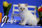 Jones ist 8 Wochen alt ( 14.03.2021 )