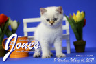 Jones ist 8 Wochen alt ( 14.03.2021 )
