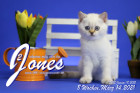 Jones ist 8 Wochen alt ( 14.03.2021 )