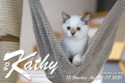 Kathy ist 13 Wochen alt ( 07.08.2021 )