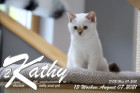 Kathy ist 13 Wochen alt ( 07.08.2021 )