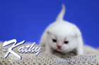 Kathy ist 2 Wochen alt ( 22.05.2021 )