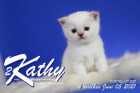 Kathy ist 4 Wochen alt ( 06.06.2021 )