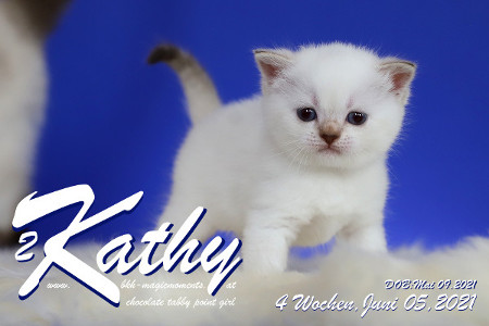 Kathy ist 4 Wochen alt ( 06.06.2021 )