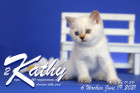 Kathy ist 6 Wochen alt ( 19.06.2021 )
