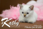 Kathy ist 8 Wochen alt ( 02.07.2021 )