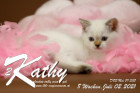 Kathy ist 8 Wochen alt ( 02.07.2021 )