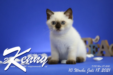 Kenny ist 10 Wochen alt ( 18.07.2021 )