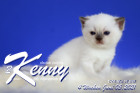 Kenny ist 4 Wochen alt ( 06.06.2021 )