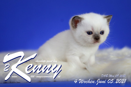 Kenny ist 4 Wochen alt ( 06.06.2021 )