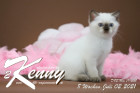 Kenny ist 8 Wochen alt ( 02.07.2021 )