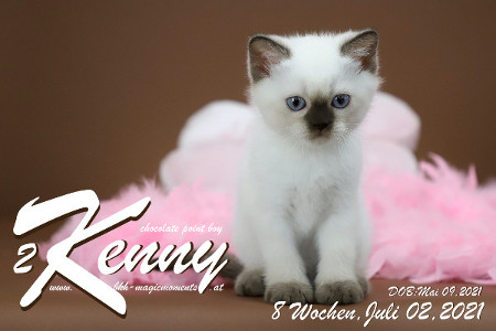 Kenny ist 8 Wochen alt ( 02.07.2021 )
