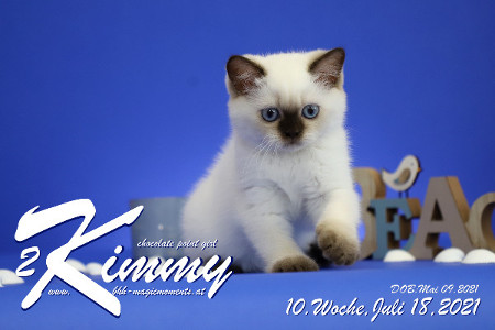 Kimmy ist 10 Wochen alt ( 18.07.2021 )